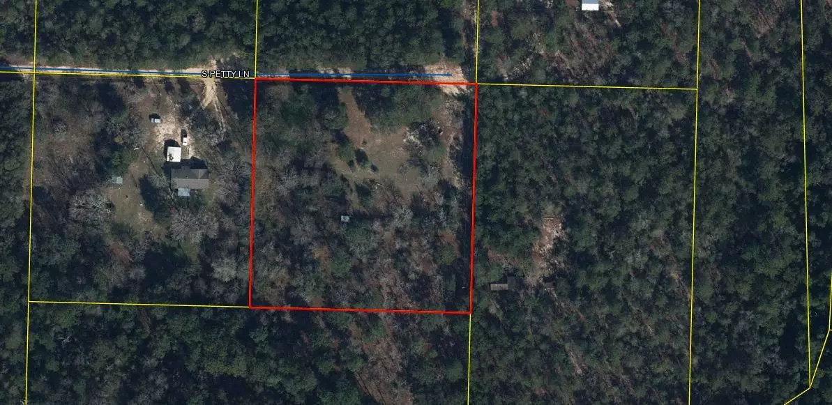 Defuniak Springs, FL 32433,218 S Petty Lane