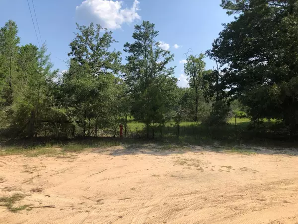 Defuniak Springs, FL 32433,218 S Petty Lane