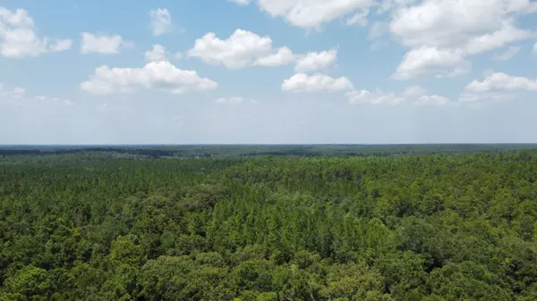 Laurel Hill, FL 32567,Lot 6 W Plympton Road