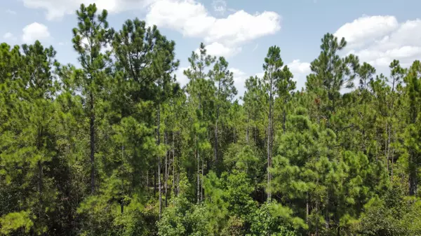 Laurel Hill, FL 32567,Lot 6 W Plympton Road