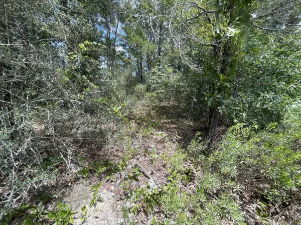 Defuniak Springs, FL 32433,LOT 35 W Royal Palm Avenue