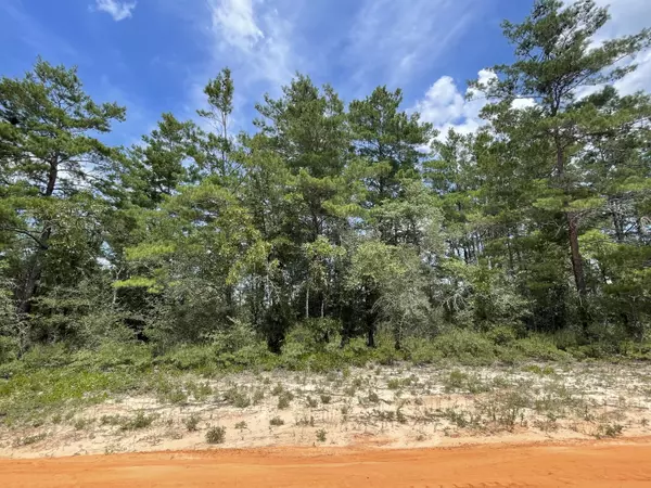 Defuniak Springs, FL 32433,LOT 35 W Royal Palm Avenue