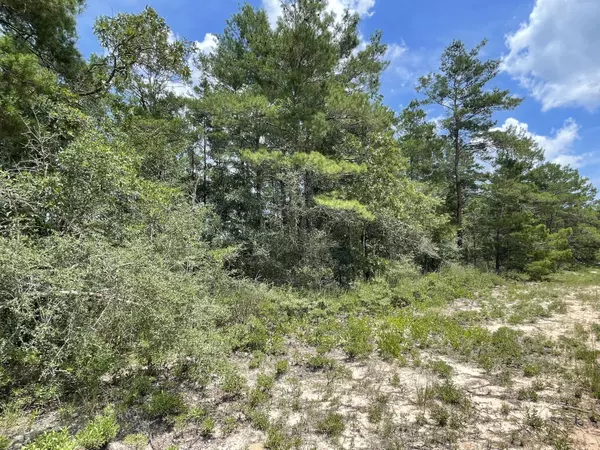 Defuniak Springs, FL 32433,1.5 lots W Royal Palm Avenue