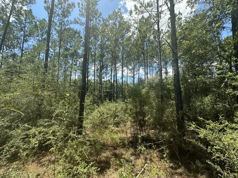 Lot 12 Shepherds Lane, Milton, FL 32570