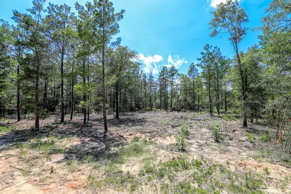 Defuniak Springs, FL 32433,000 Elizabeth Lane  #Lot 17