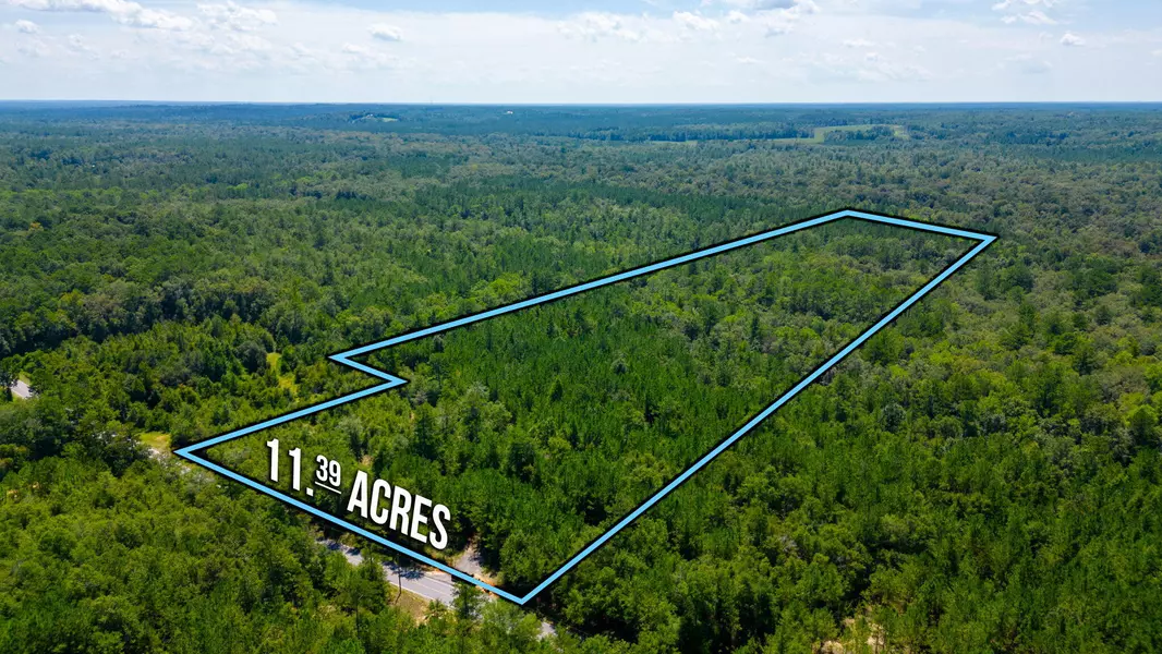 11.39 Acre Moccasin Forks Road, Ponce De Leon, FL 32455