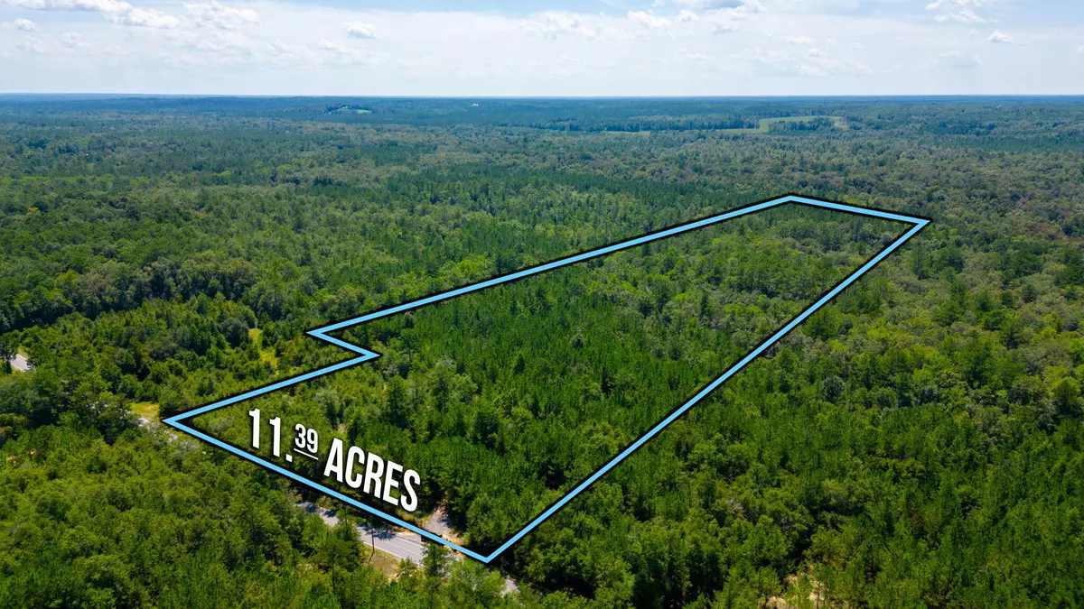 Ponce De Leon, FL 32455,11.39 Acre Moccasin Forks Road