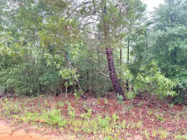 Defuniak Springs, FL 32433,Lots 12&13 W Hibiscus Avenue