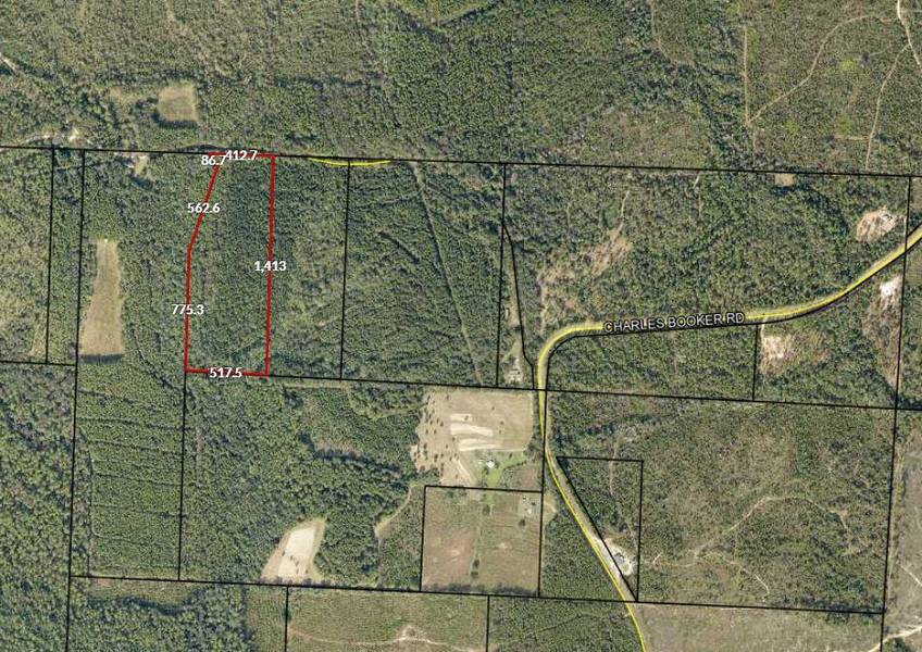 15.65 Acre Alice Chesser, Baker, FL 32531