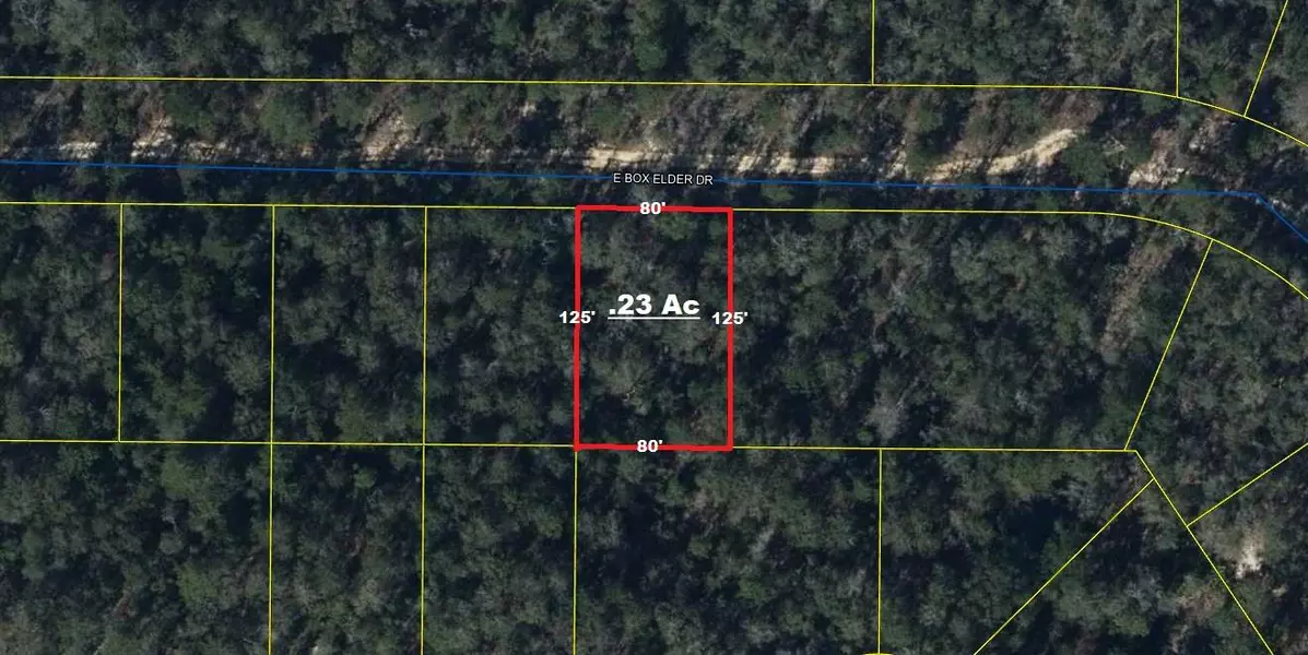 Lot 32 W Box Elder Drive, Defuniak Springs, FL 32433