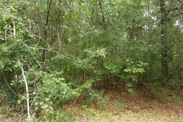 Baker, FL 32531,5001 Al Gillman Road Road