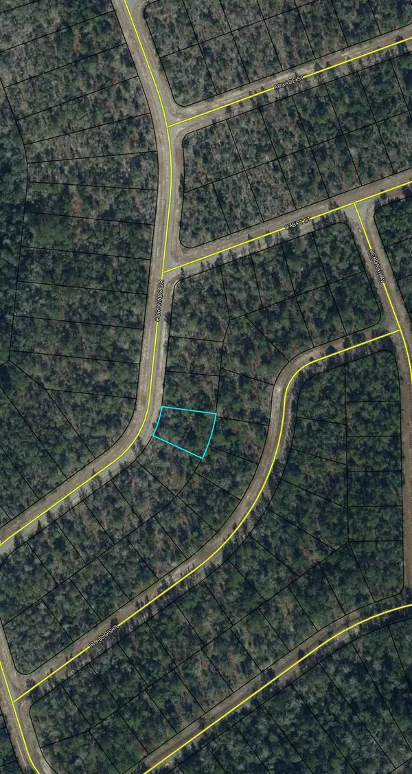 Chipley, FL 32428,LOT 7 Coronado Drive