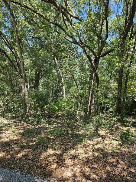 Lot 3 Aspen Street, Freeport, FL 32439