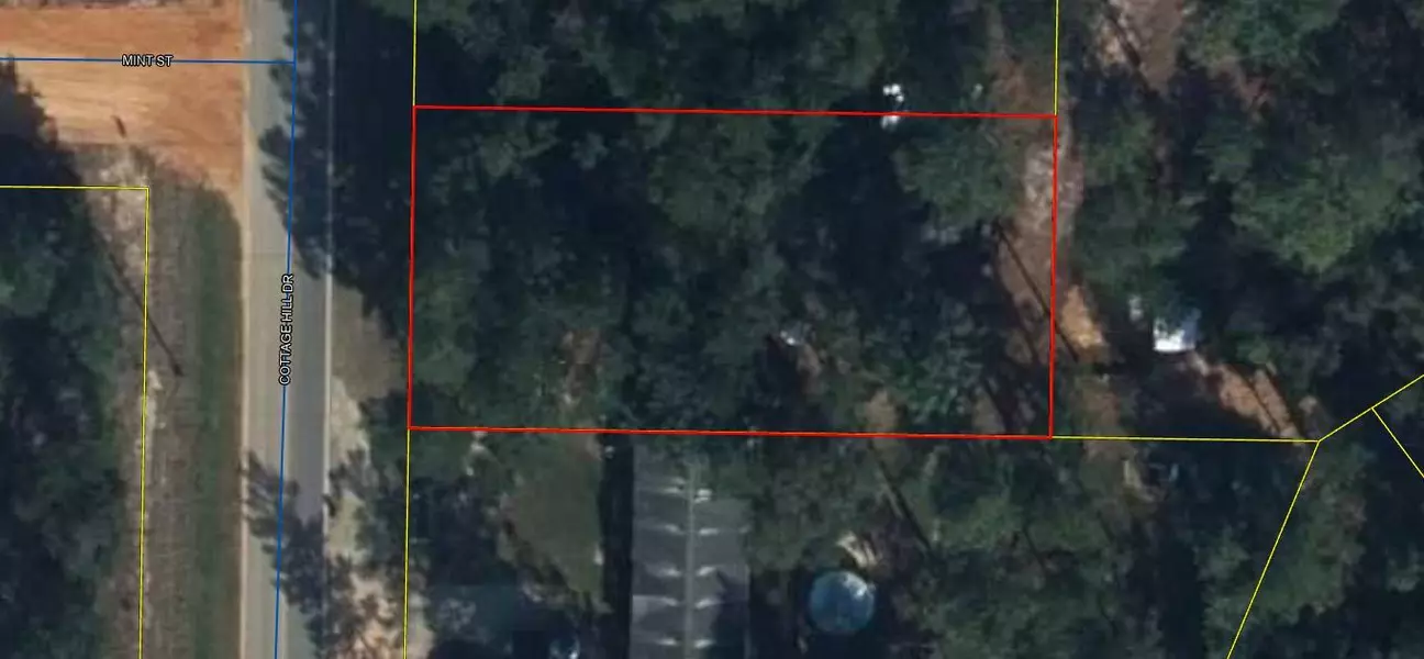 Lot 21 Cottage Hill Drive, Defuniak Springs, FL 32433