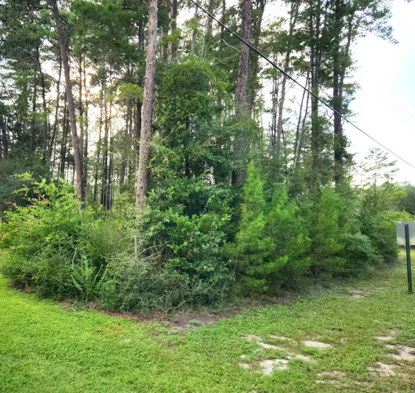 Freeport, FL 32439,Lot 4 Happy Hollow Road