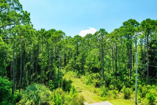 Santa Rosa Beach, FL 32459,TBD Saint Johns Lot 8 Road