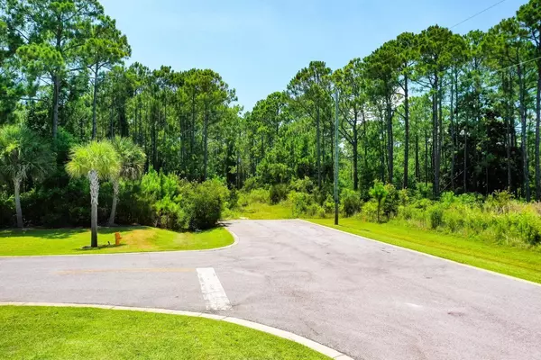 Santa Rosa Beach, FL 32459,TBD Saint Johns Lot 7 Road