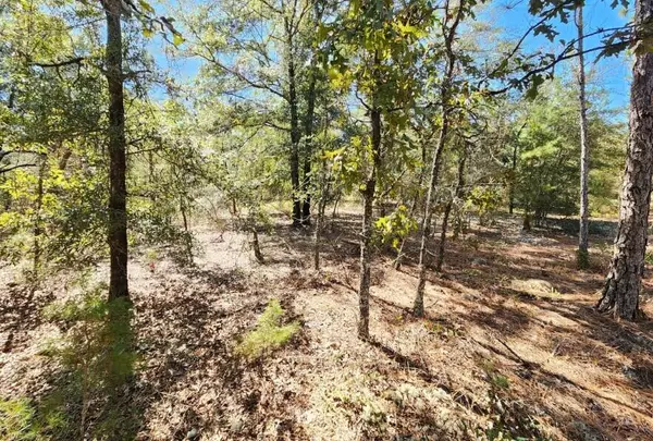 Defuniak Springs, FL 32433,00 Dogwood Avenue