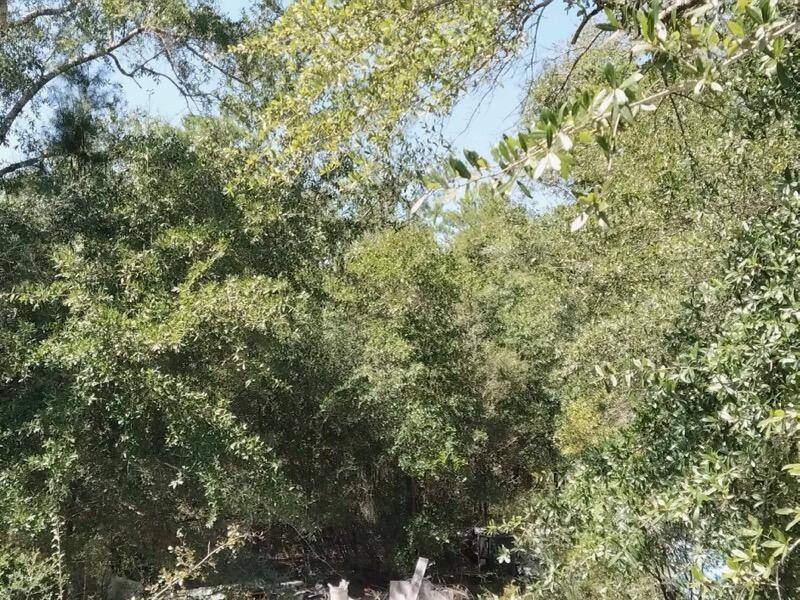 Crestview, FL 32539,0 Waldo Road
