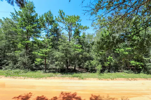 Defuniak Springs, FL 32433,000 Passion Flower Street  #Lot #2