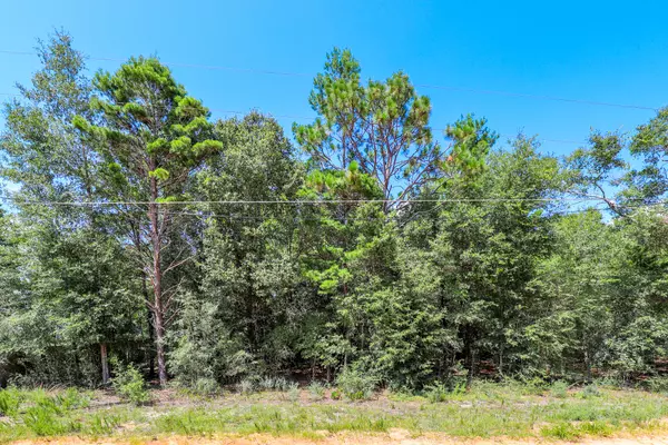 Defuniak Springs, FL 32433,000 Passion Flower Street  #Lot #5