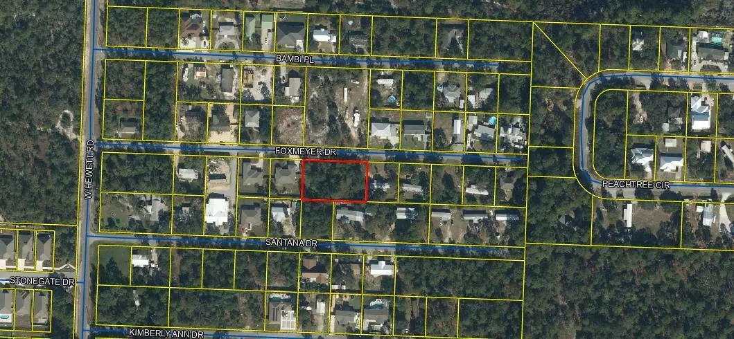 Santa Rosa Beach, FL 32459,TBD Foxmeyer Drive