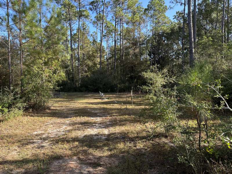 38+/- Ac Hwy 2, Laurel Hill, FL 32567