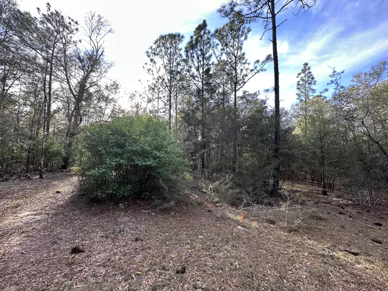 30 AC W Dogwood Drive, Crestview, FL 32536