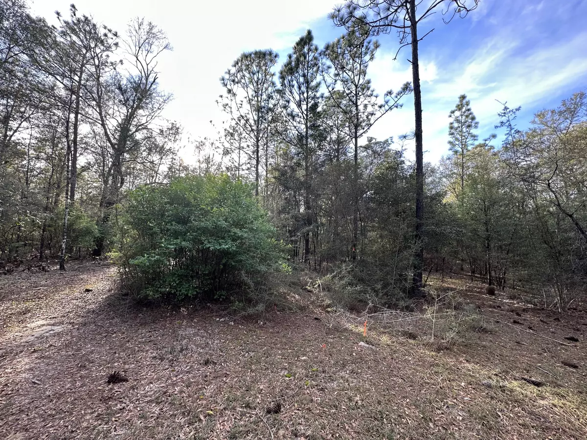 Crestview, FL 32536,30 AC W Dogwood Drive