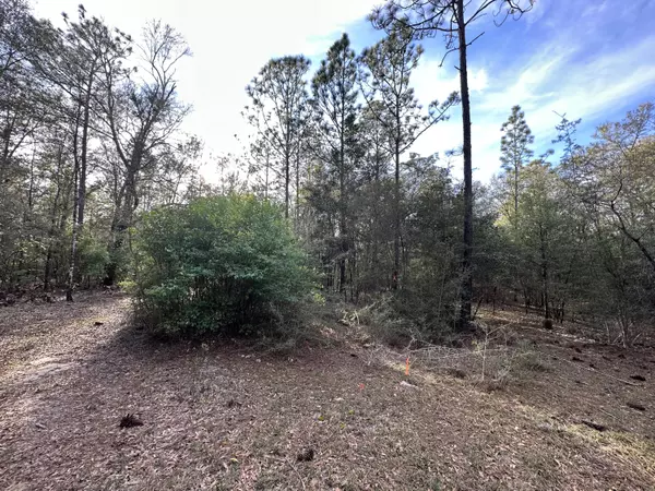 30 AC W Dogwood Drive, Crestview, FL 32536