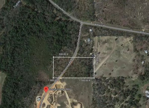 Defuniak Springs, FL 32433,TBD Turkey Creek Pit Road