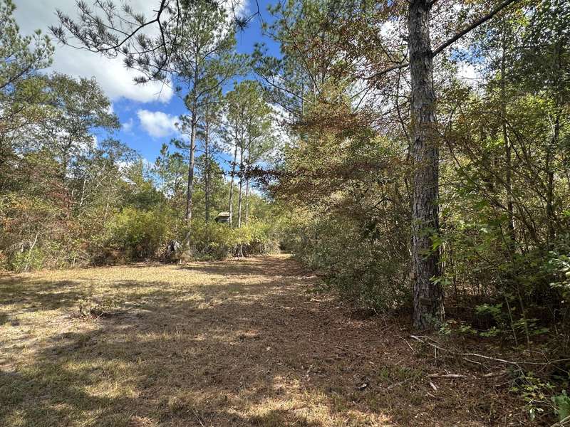 128.57 AC Lacey Lane, Crestview, FL 32536