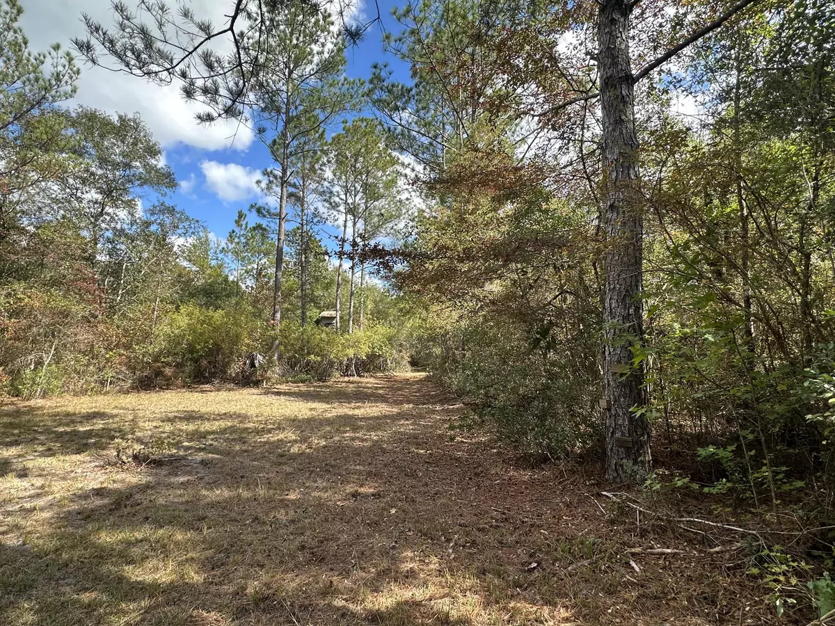 Crestview, FL 32536,70+/- AC Lacey Lane