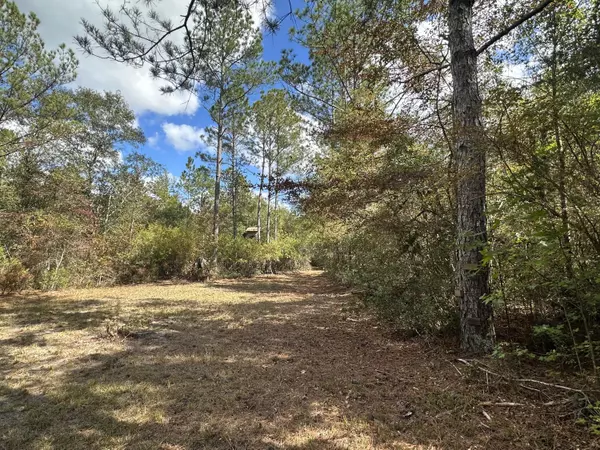 Crestview, FL 32536,70+/- AC Lacey Lane