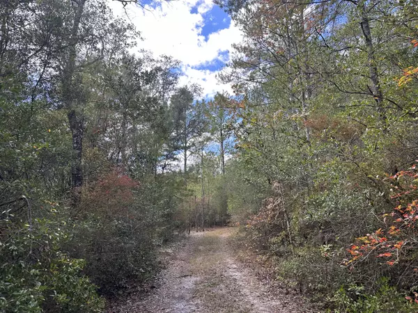 Crestview, FL 32536,128.57 AC Lacey Lane