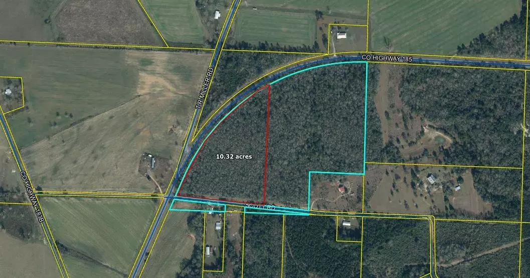 Defuniak Springs, FL 32433,10 Acres Co Hwy 185