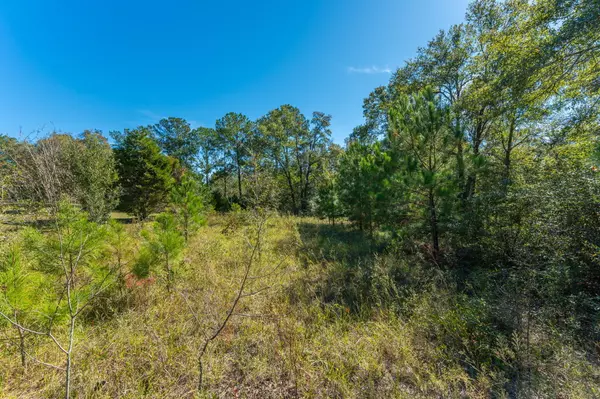 Defuniak Springs, FL 32435,Lot 7 South Pleasant Drive