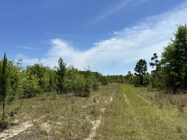 Laurel Hill, FL 32567,14+/-Acres Frost Lane