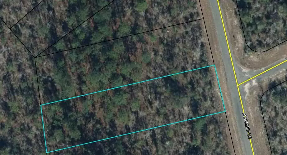 Chipley, FL 32428,xxx Lot 36 Alhambra Drive