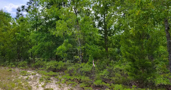 Defuniak Springs, FL 32433,Lot 11 on Lake Rosemary Court