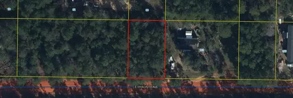 000 E Hyacinth Avenue, Defuniak Springs, FL 32433