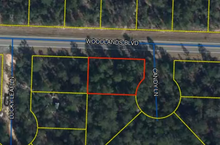 Defuniak Springs, FL 32433,Lot 1 Woodlands Boulevard