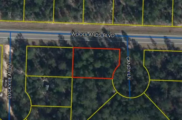 Lot 1 Woodlands Boulevard, Defuniak Springs, FL 32433