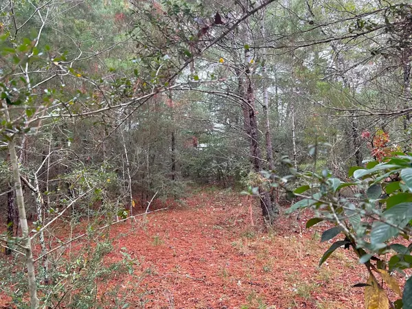 Defuniak Springs, FL 32433,Lot 24 Meteyard Lane