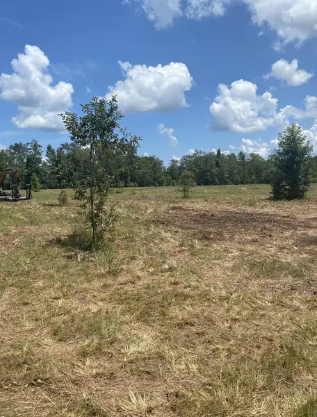 20 Ac Jack Johnson Lane, Ponce De Leon, FL 32455