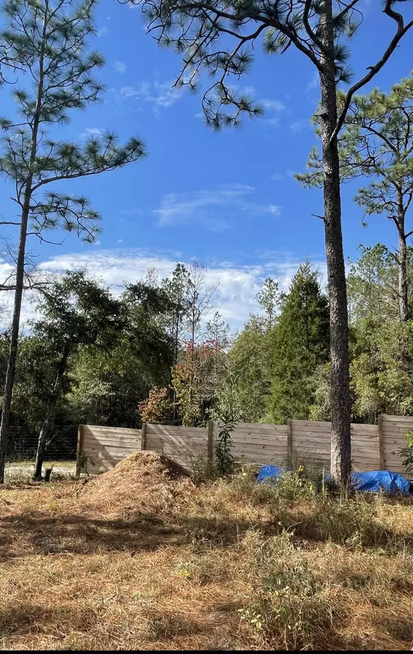 Defuniak Springs, FL 32435,00 Apache Drive