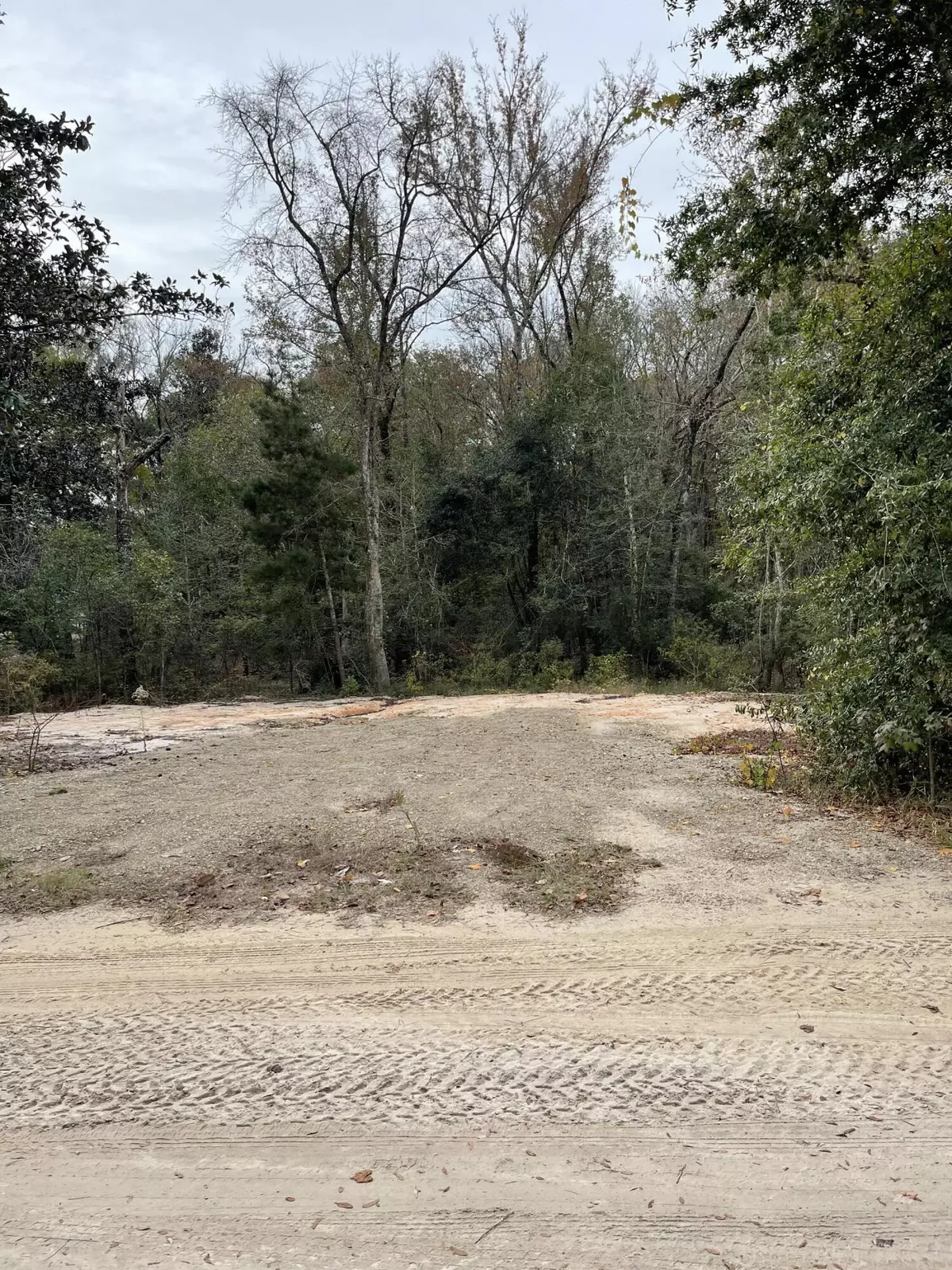 Ponce De Leon, FL 32455,000 B H Reddick Road