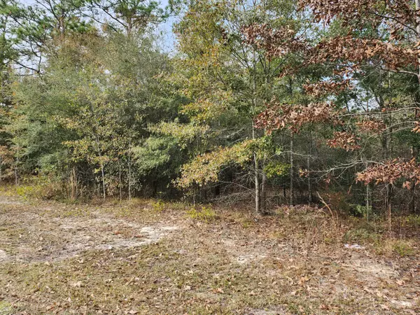 Defuniak Springs, FL 32433,Lot 26 Ten Lake Drive