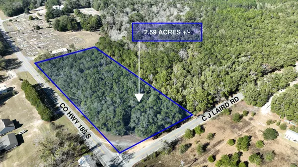 Lot 1 C J Laird Rd, Argyle, FL 32422