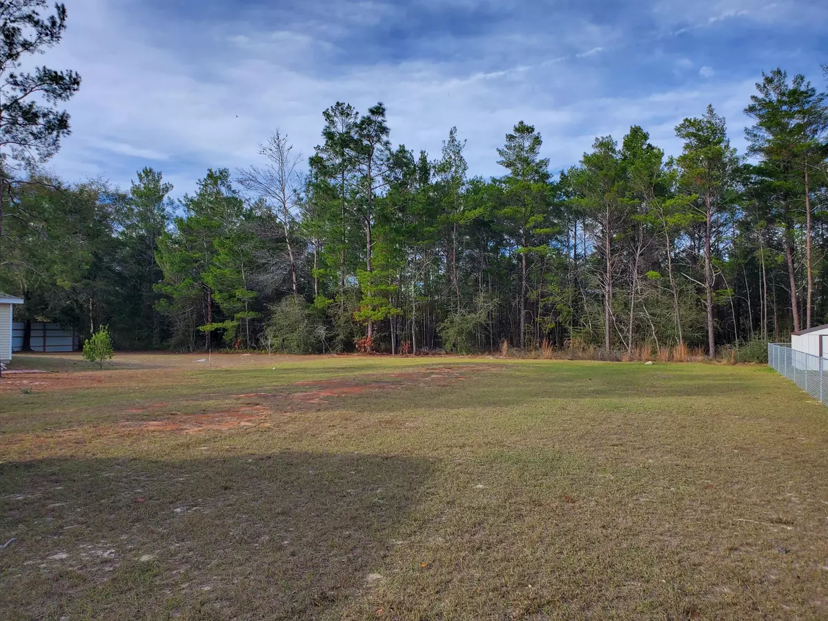 Defuniak Springs, FL 32433,TBD E Lafavre Lane